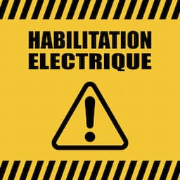 Habilitation BS BE Manoeuvre / Essais