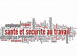 SSCT ( Santé , Sécurité et Conditions de Travail ) pour les CSE.