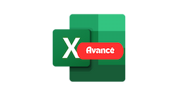 Excel avancé à distance