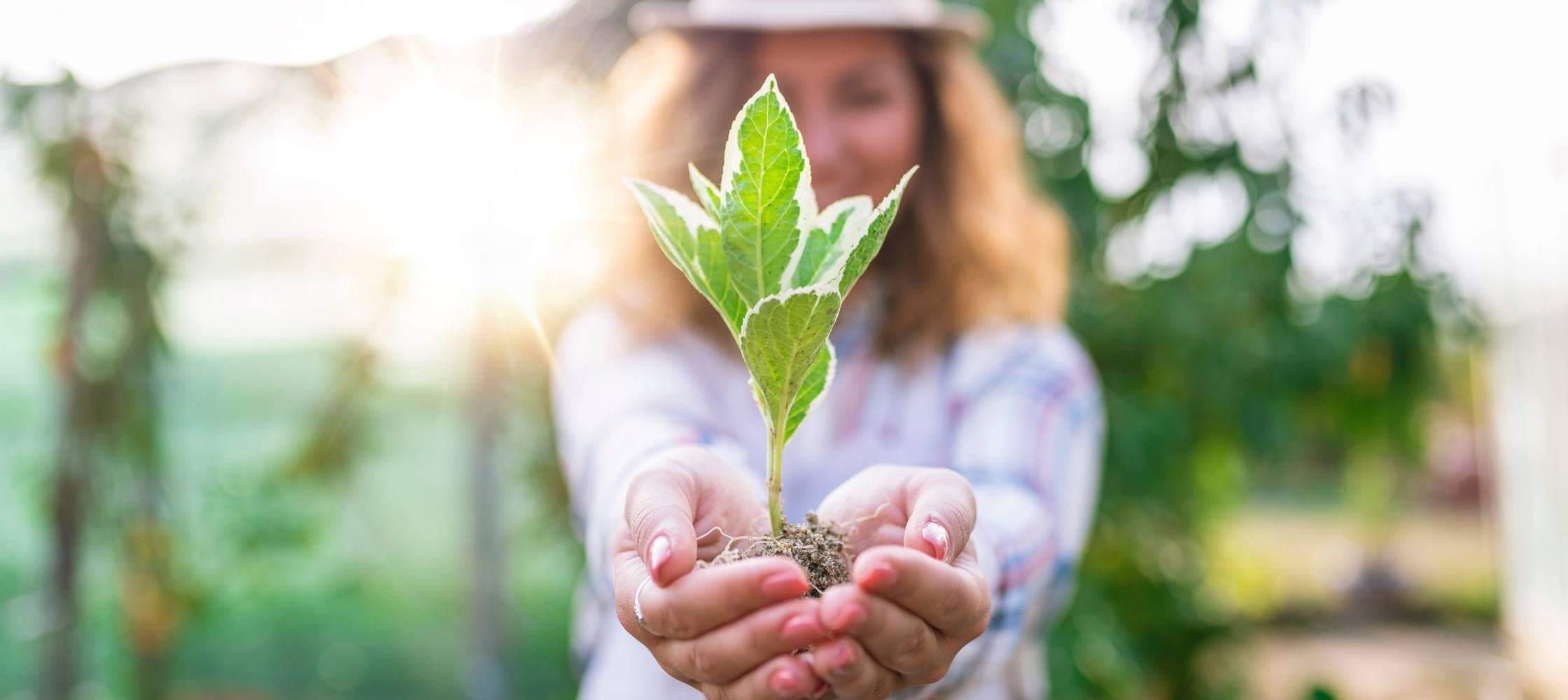 Protection de la nature