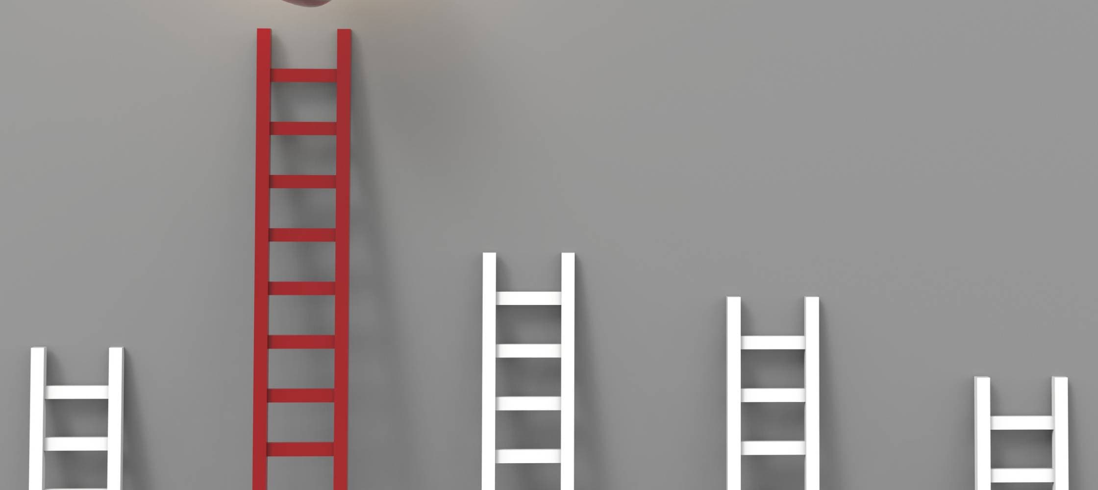 Formation Echelles et escabeaux à Paris