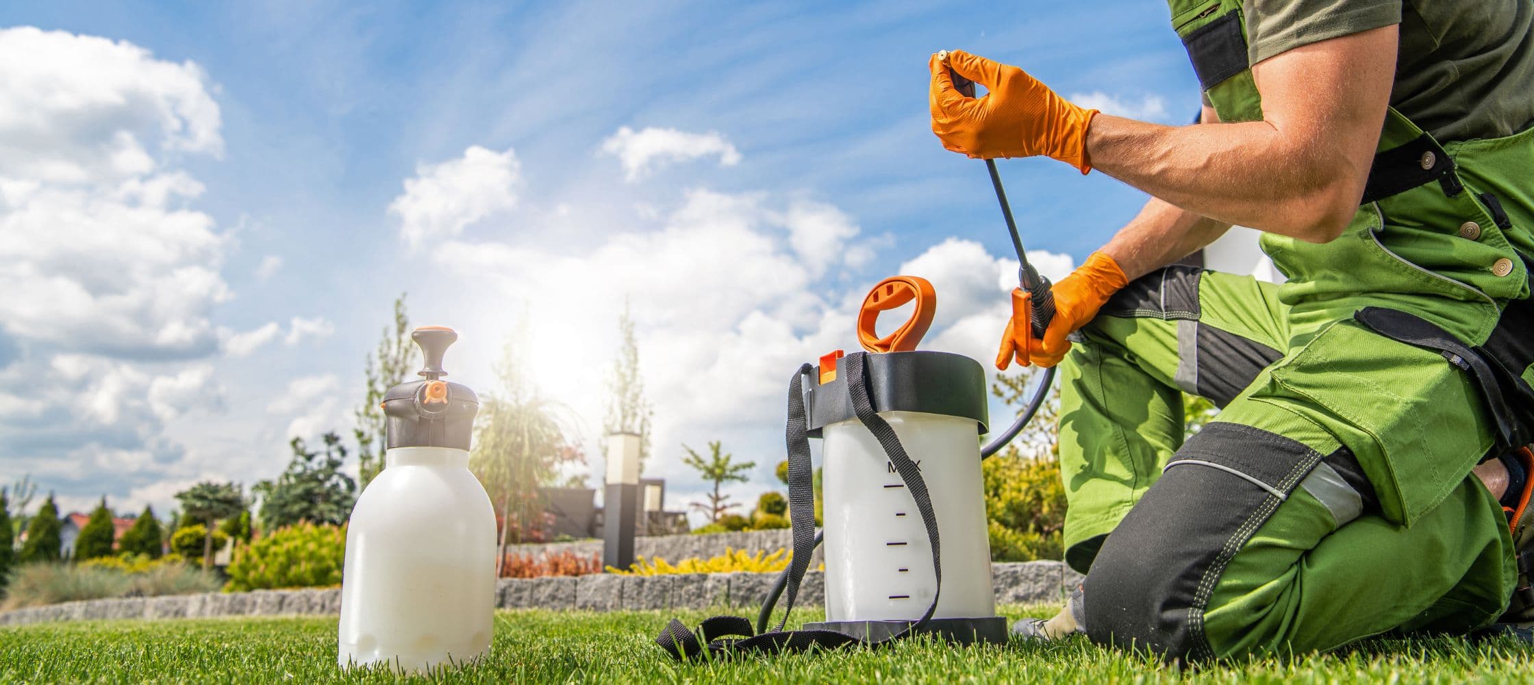 Formation QualiSanitation à distance