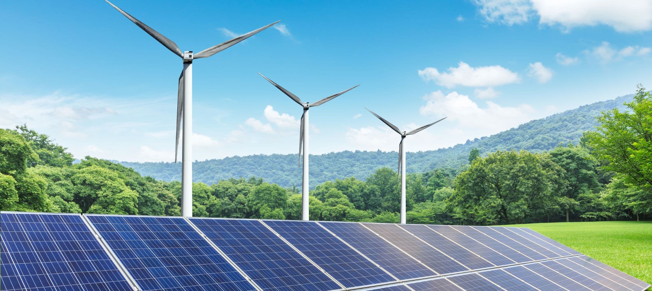 Transition écologique